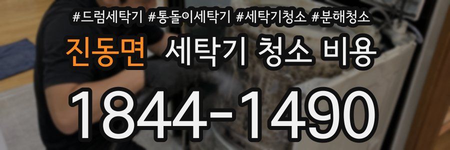 진동면 세탁기 청소 비용