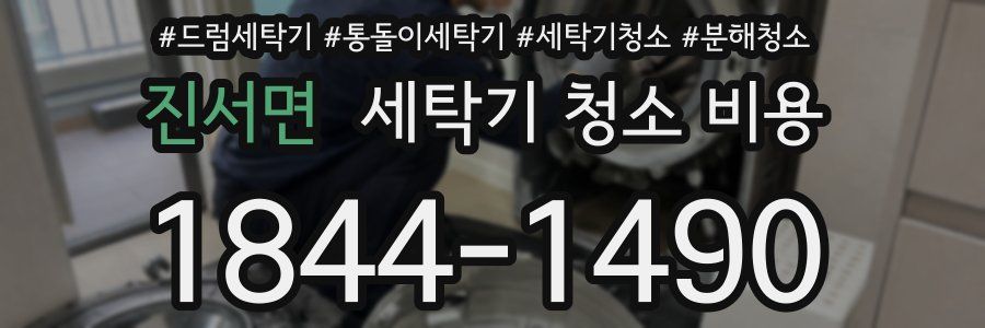 진서면 세탁기 청소 비용
