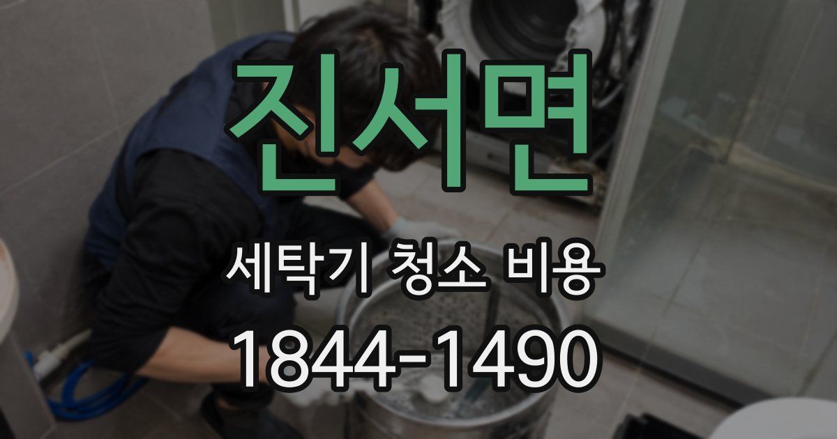 진서면 세탁기 청소 비용