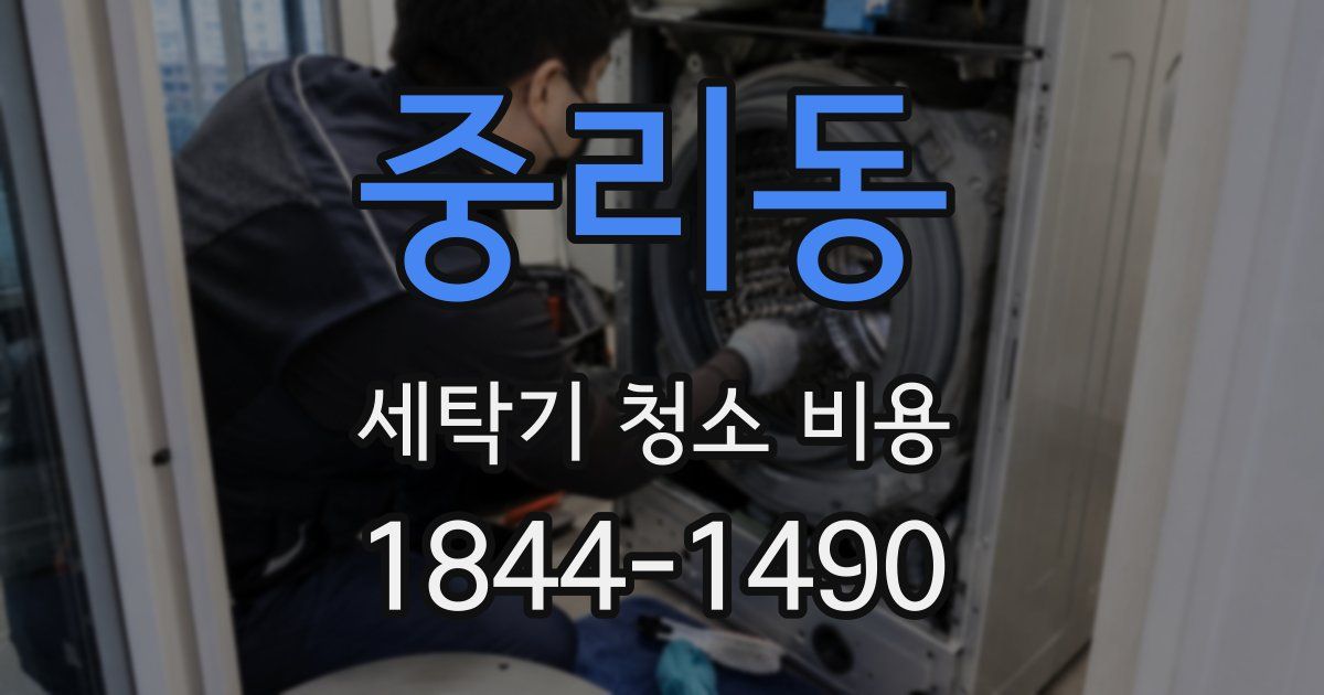 중리동 세탁기 청소 비용