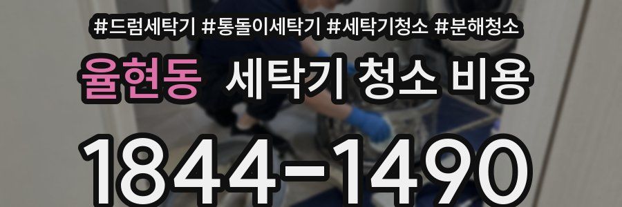 율현동 세탁기 청소 비용