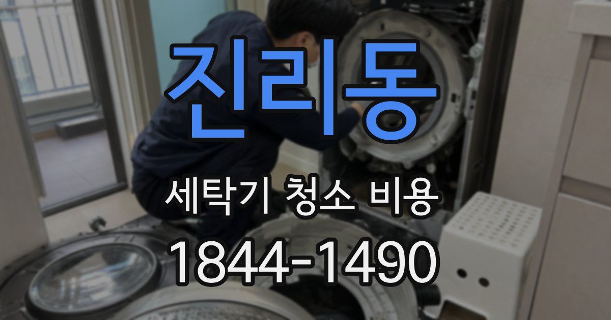 진리동 세탁기 청소 비용