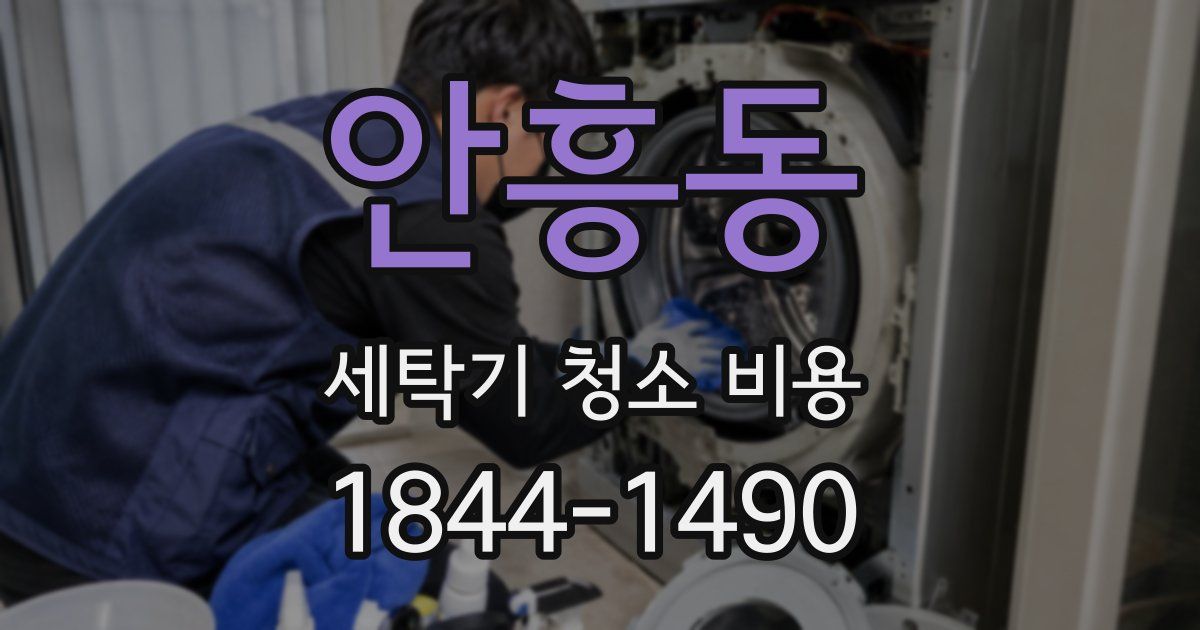 안흥동 세탁기 청소 비용