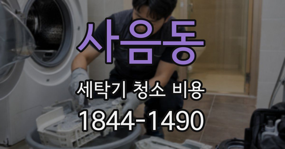 사음동 세탁기 청소 비용