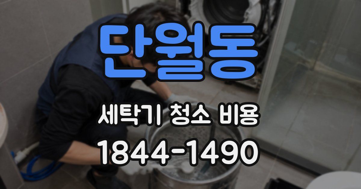 단월동 세탁기 청소 비용