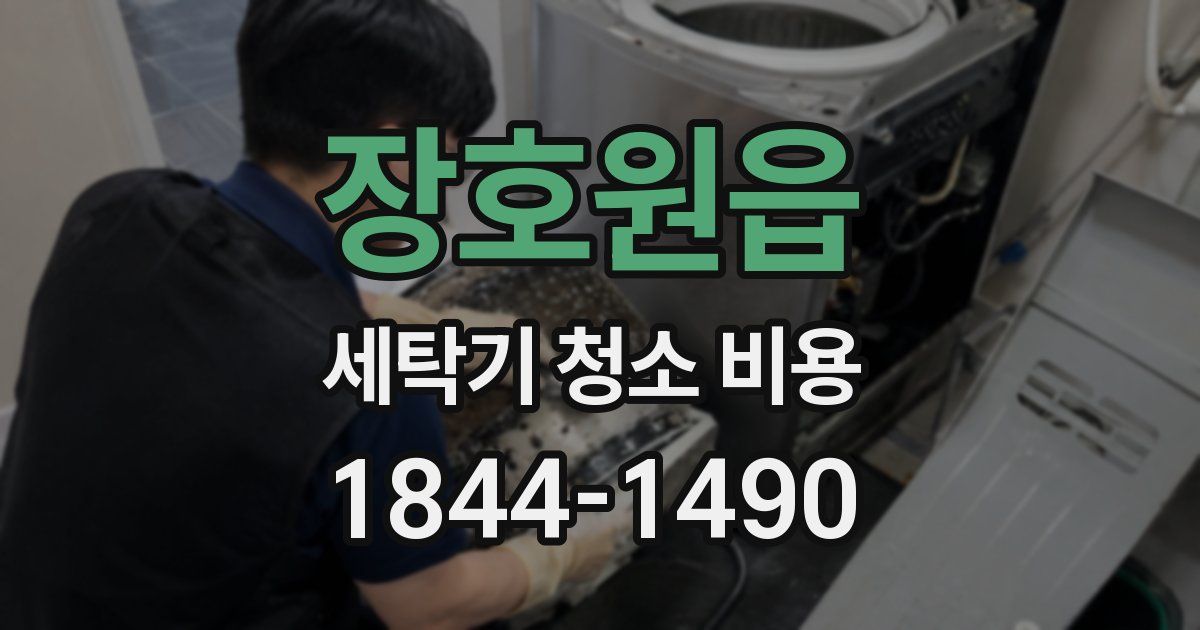 장호원읍 세탁기 청소 비용
