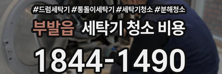 부발읍 세탁기 청소 비용