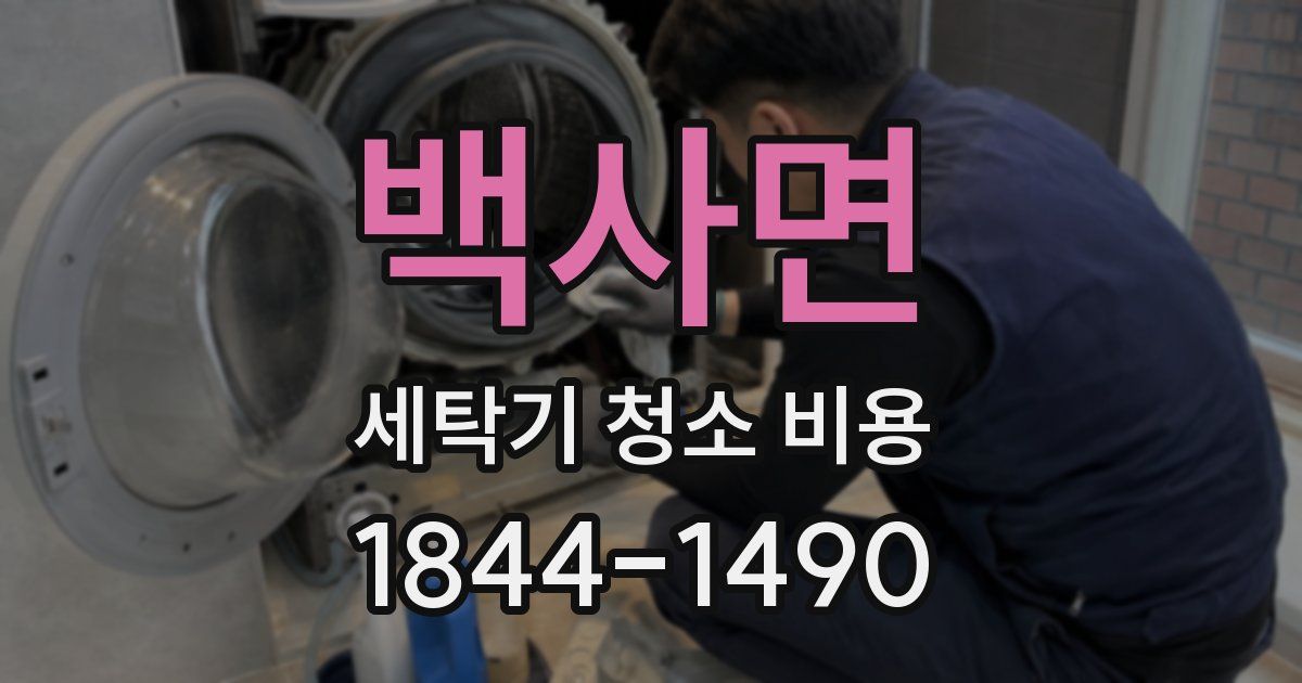 백사면 세탁기 청소 비용