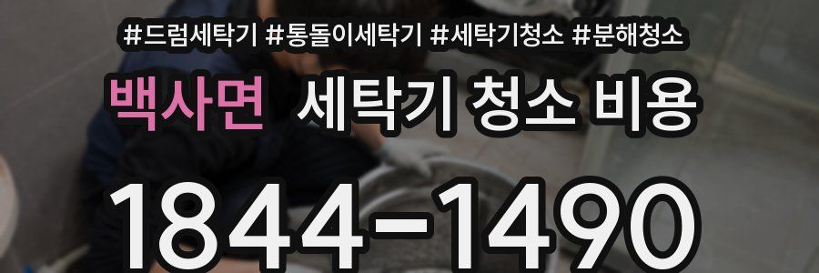 백사면 세탁기 청소 비용
