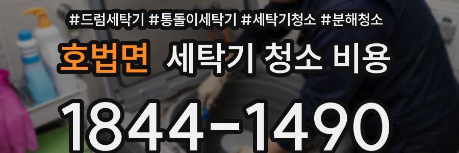 호법면 세탁기 청소 비용