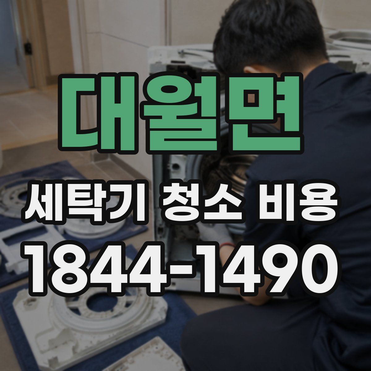 대월면 세탁기 청소 비용