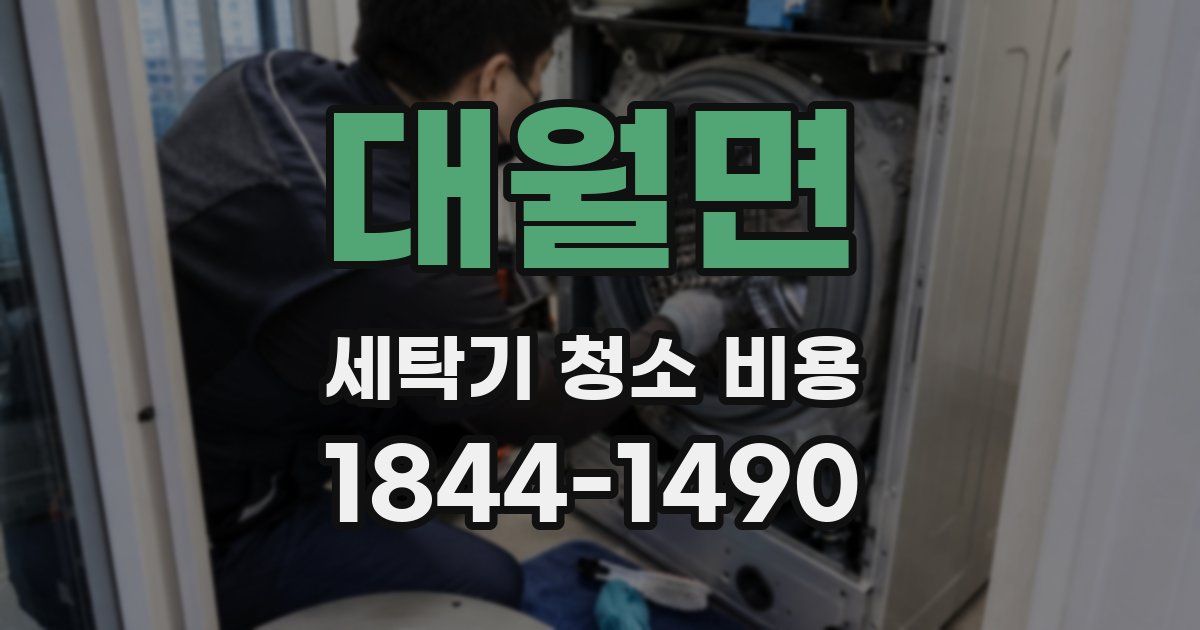 대월면 세탁기 청소 비용