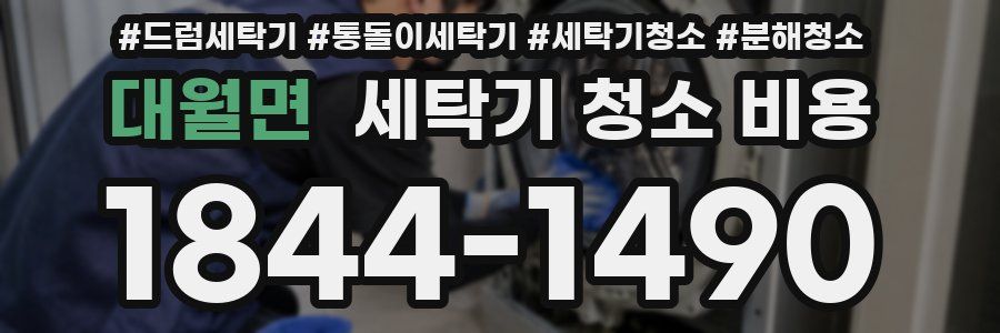 대월면 세탁기 청소 비용