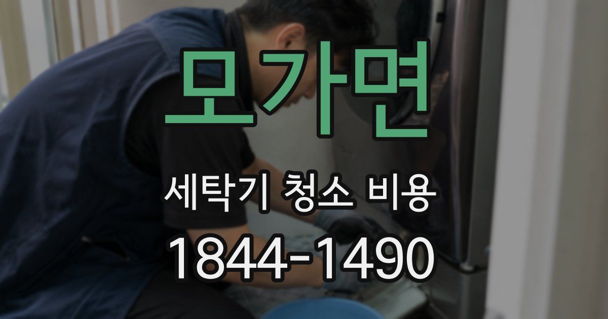 모가면 세탁기 청소 비용