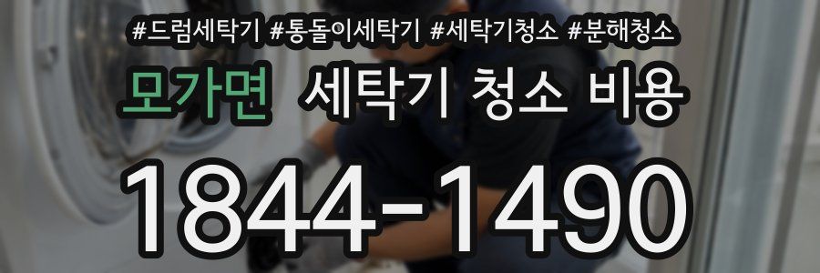 모가면 세탁기 청소 비용