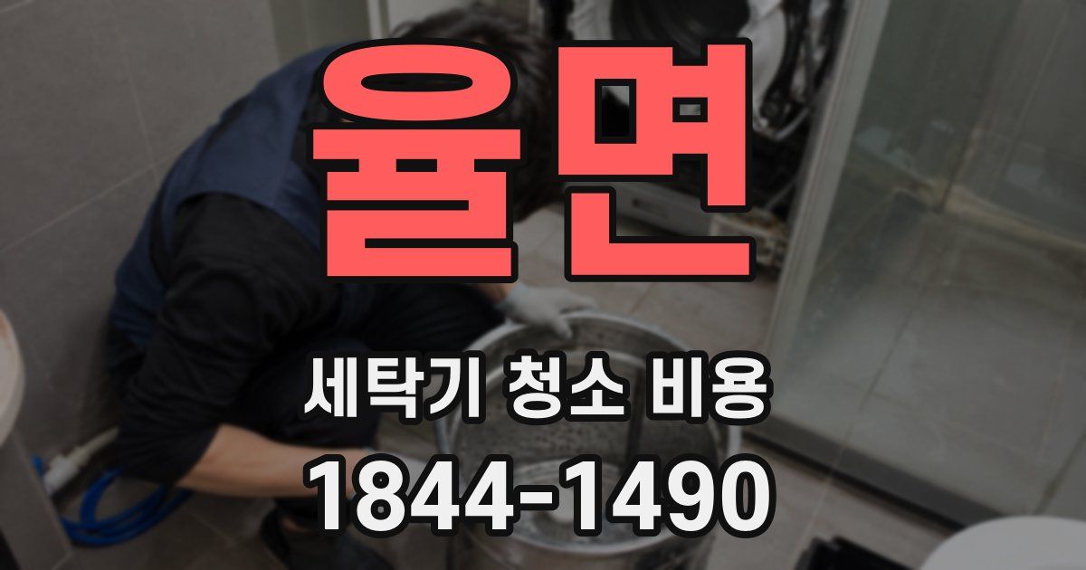 율면 세탁기 청소 비용