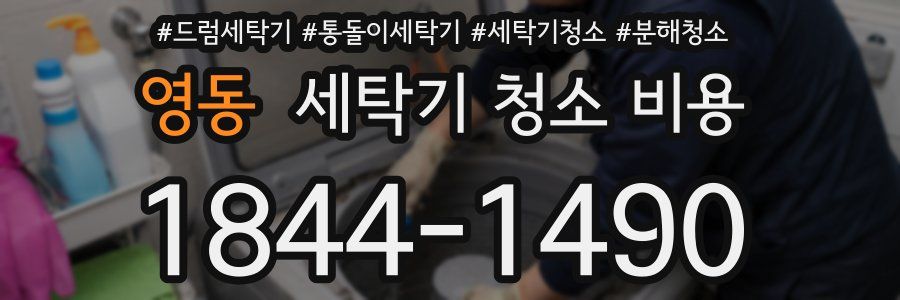 영동 세탁기 청소 비용