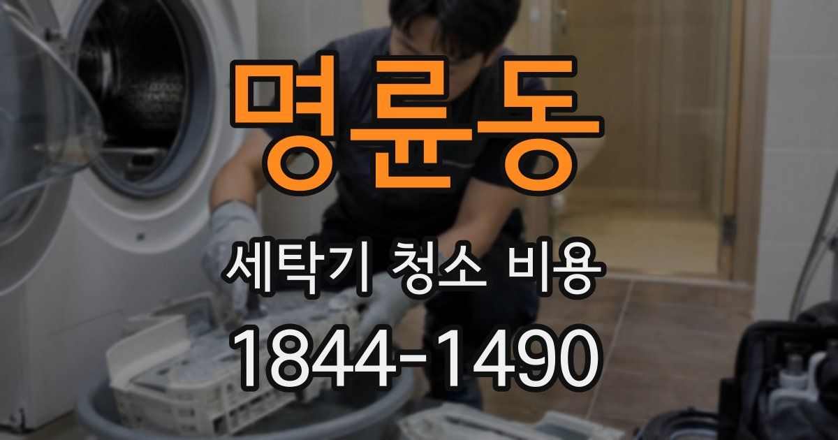 명륜동 세탁기 청소 비용