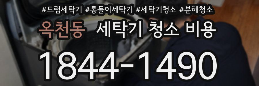옥천동 세탁기 청소 비용