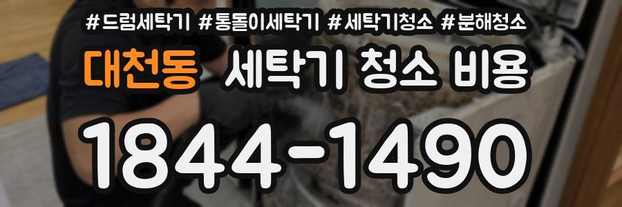 대천동 세탁기 청소 비용