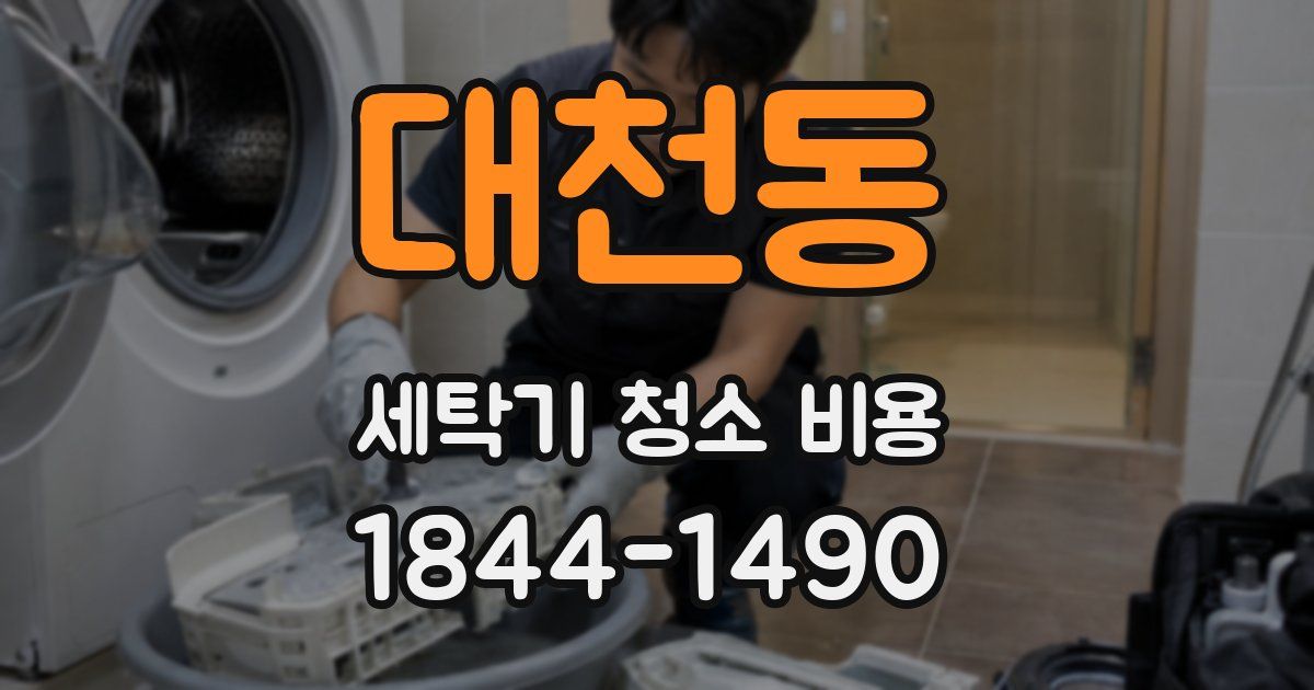 대천동 세탁기 청소 비용