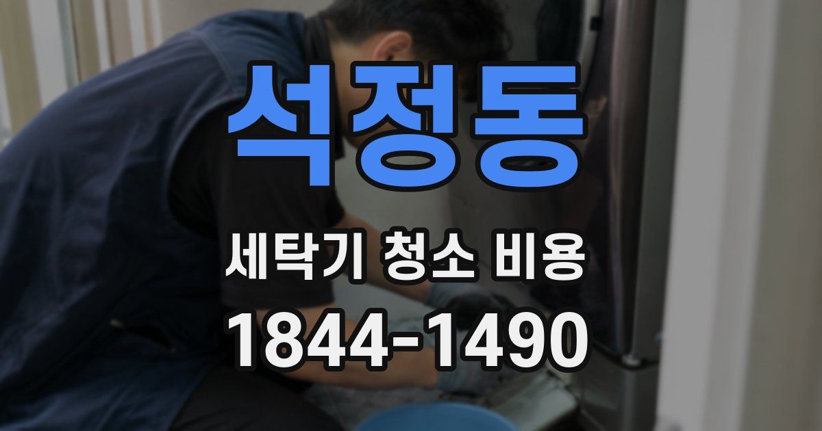 석정동 세탁기 청소 비용