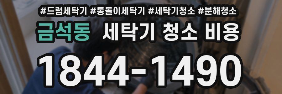금석동 세탁기 청소 비용