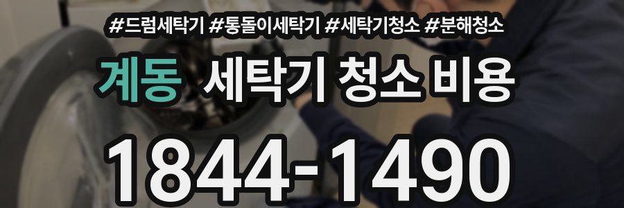 계동 세탁기 청소 비용