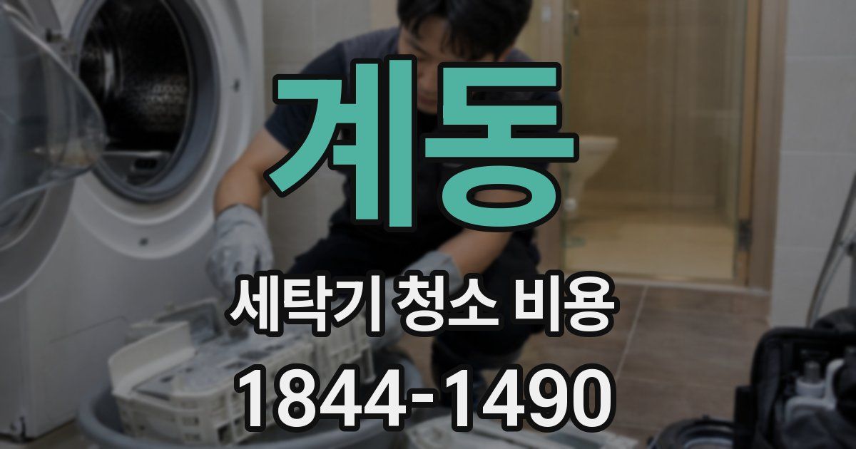 계동 세탁기 청소 비용