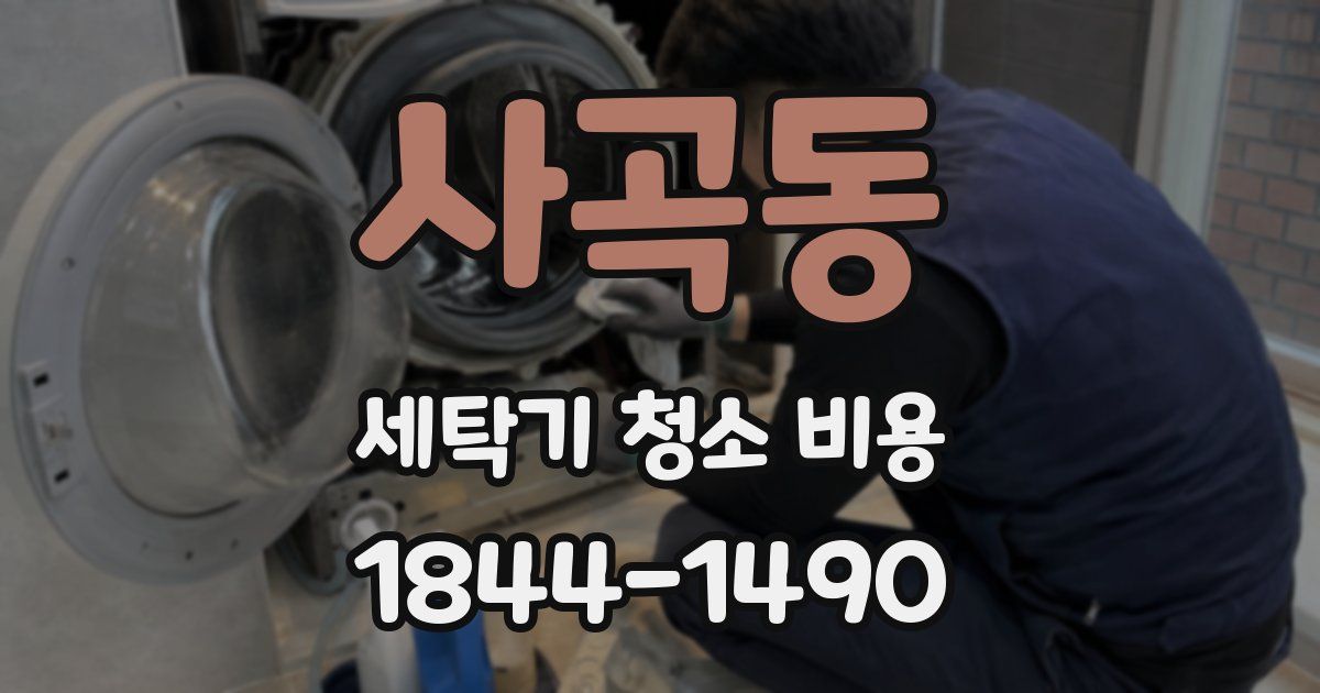 사곡동 세탁기 청소 비용