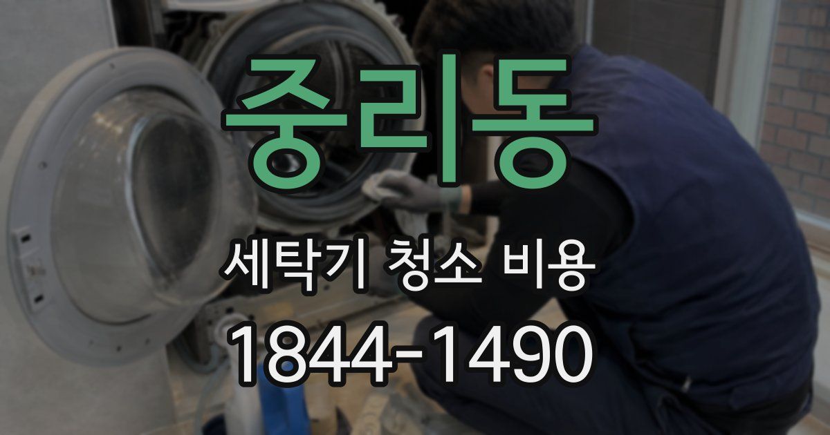 중리동 세탁기 청소 비용