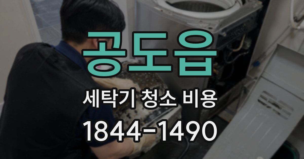 공도읍 세탁기 청소 비용