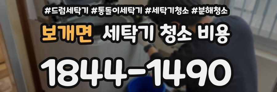보개면 세탁기 청소 비용