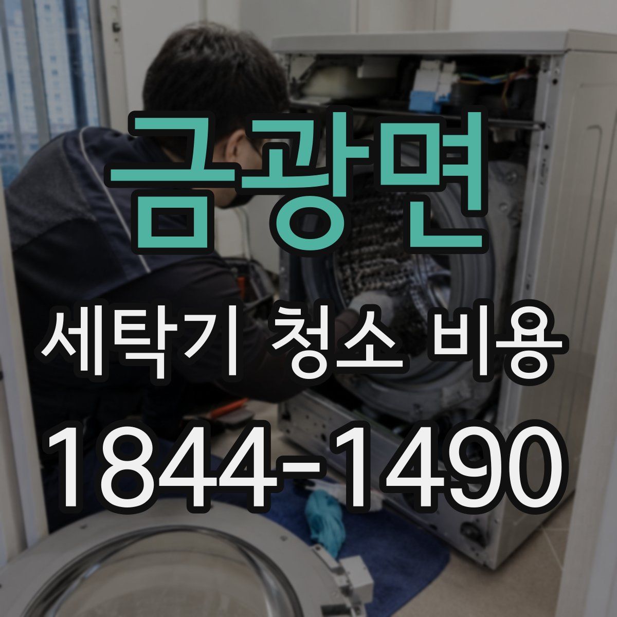 금광면 세탁기 청소 비용