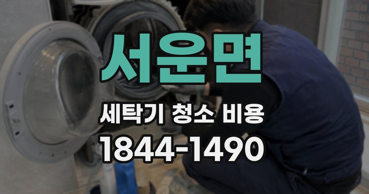 서운면 세탁기 청소 비용