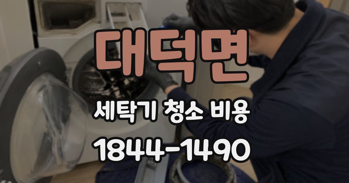 대덕면 세탁기 청소 비용