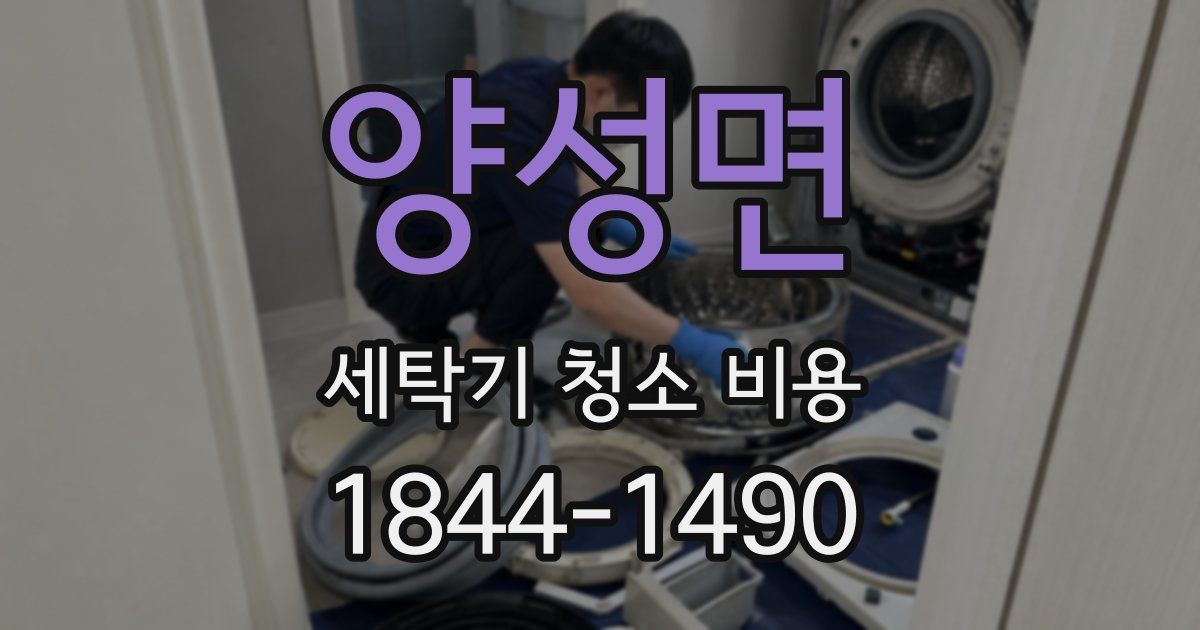 양성면 세탁기 청소 비용