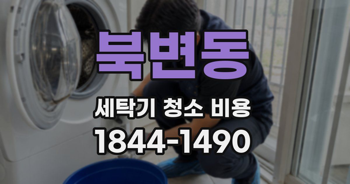 북변동 세탁기 청소 비용