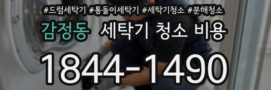 감정동 세탁기 청소 비용