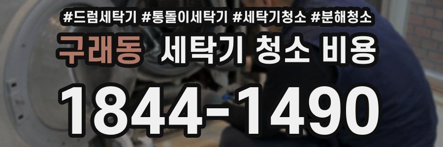 구래동 세탁기 청소 비용