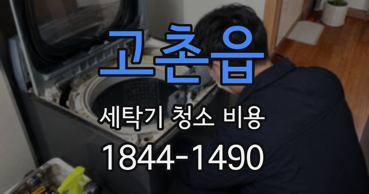 고촌읍 세탁기 청소 비용