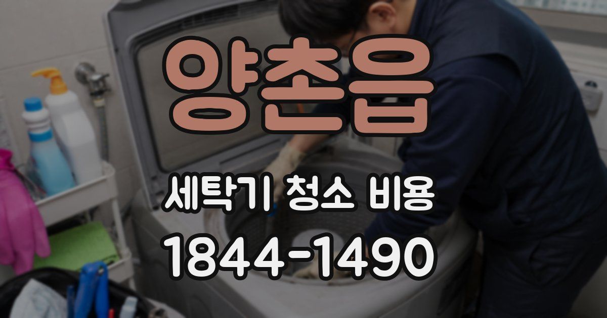 양촌읍 세탁기 청소 비용