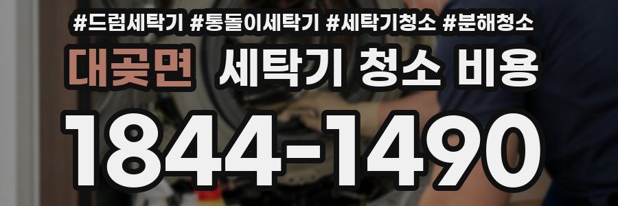 대곶면 세탁기 청소 비용