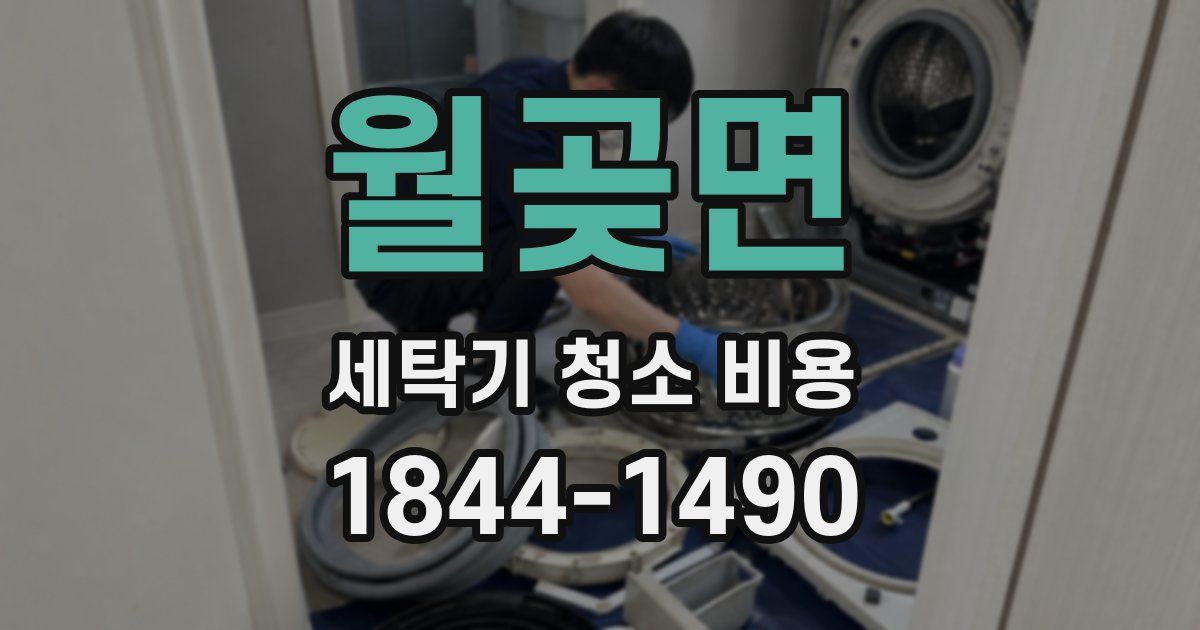 월곶면 세탁기 청소 비용