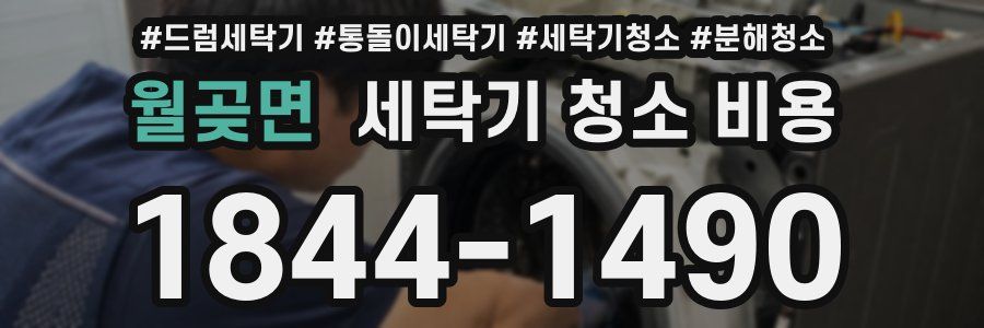 월곶면 세탁기 청소 비용