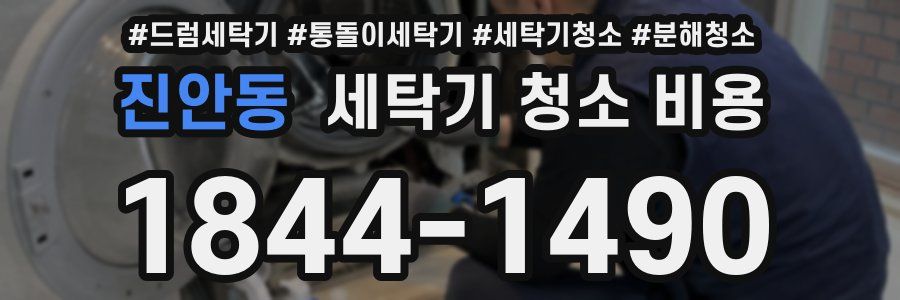 진안동 세탁기 청소 비용