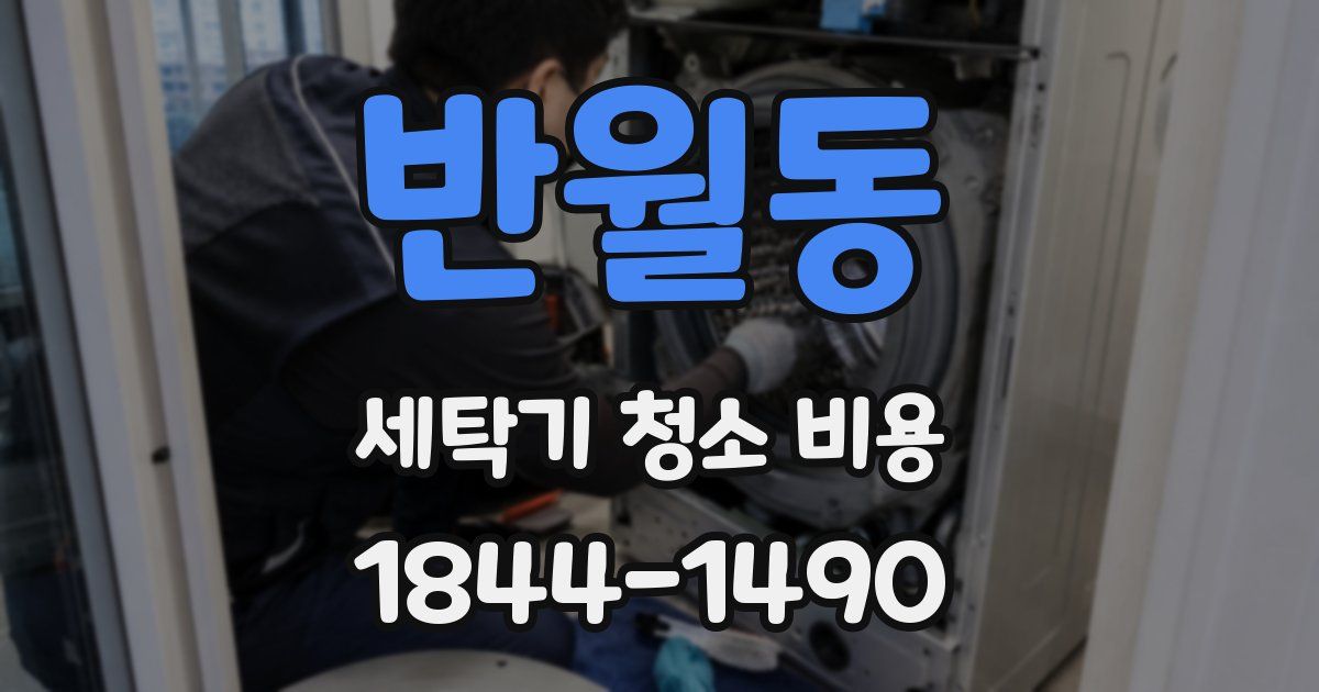 반월동 세탁기 청소 비용