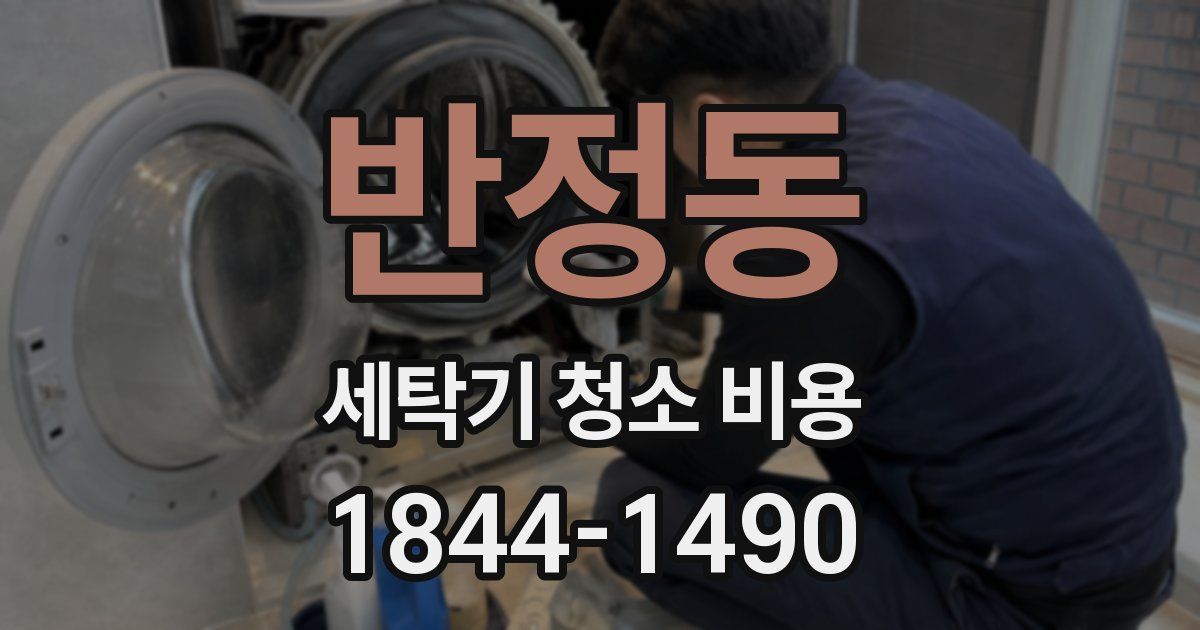 반정동 세탁기 청소 비용