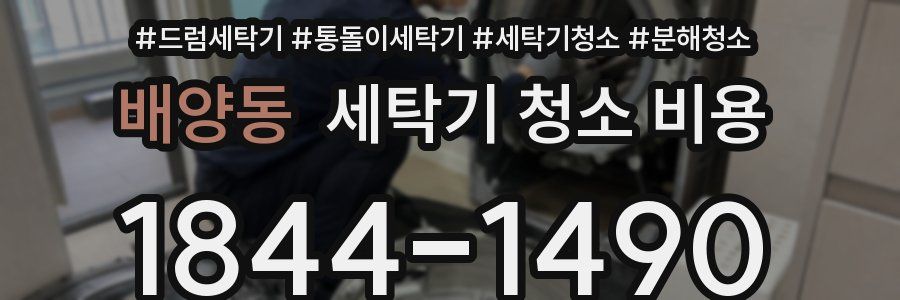 배양동 세탁기 청소 비용