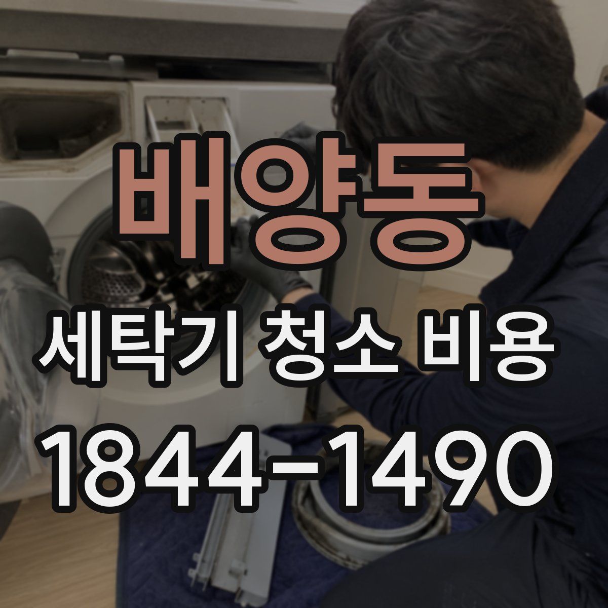 배양동 세탁기 청소 비용